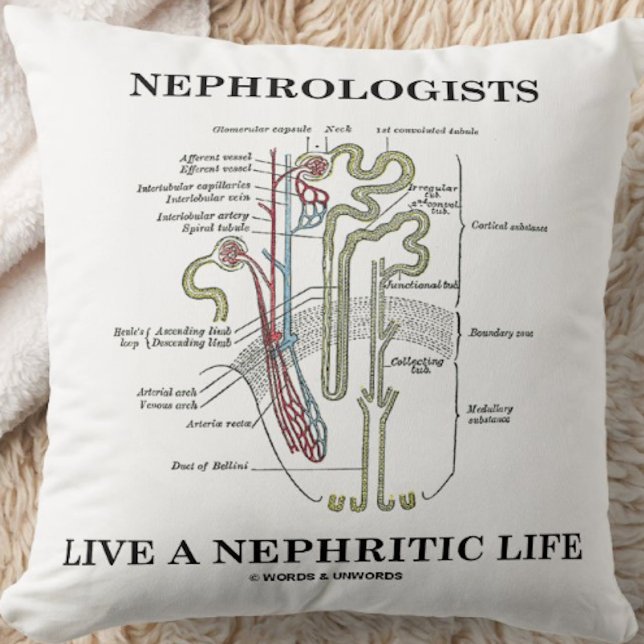 Cojín Decorativo Los Nefrologos Viven Una Vida Nefrita (Nephron) (Throw pillow featuring a kidney's nephron and cheeky medical saying for any nephrologist)