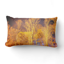 Cojín decorativo lumbar reversible