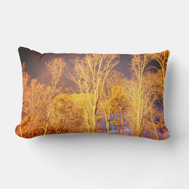 Cojín decorativo lumbar reversible (Anverso)