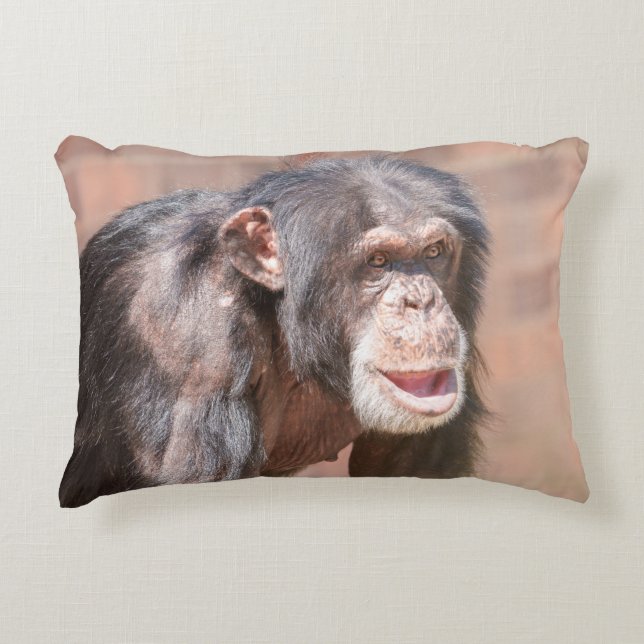 Cojín Decorativo Luminosidad y calma - Estancia Chimpanzee (Anverso)