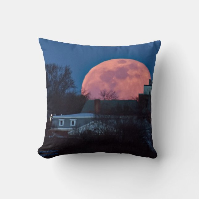 Cojín Decorativo Luna de súper gusano 2020 (Anverso)