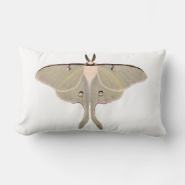 Cojín decorativo Luna Moth