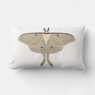 Cojín decorativo Luna Moth