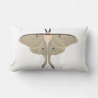 Cojín decorativo Luna Moth