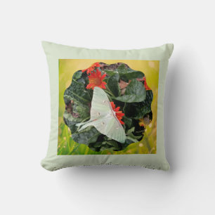 Cojín Decorativo Luna Moth cautivador