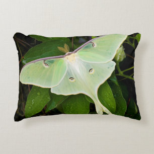 Cojín Decorativo Luna Moth en Carnaby Clematis