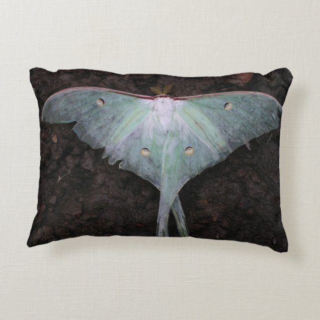 Cojín Decorativo luna moth naturaleza mariposa fantasía de hadas (Reverso)