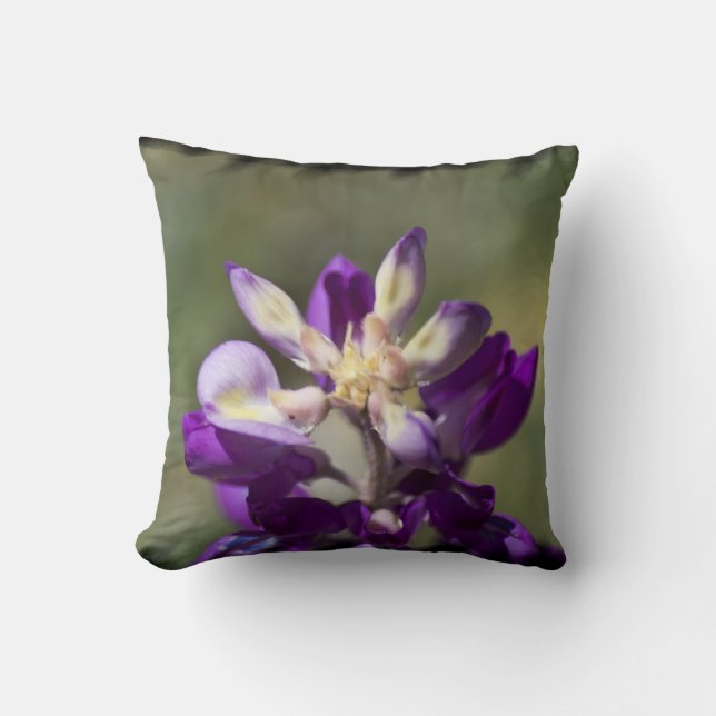 Cojín Decorativo Lupine Black Edge (Anverso)