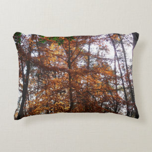 Cojín Decorativo Luz solar a través de un árbol de otoño en Greenbe