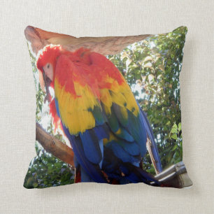 Cojín Decorativo Macaw de la foto #16-Scarlet del pájaro