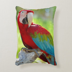 Cojín Decorativo Macaw que se sienta en rama
