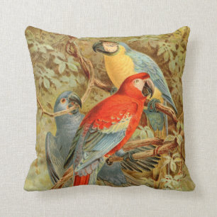 Cojín Decorativo Macaws coloridos del vintage