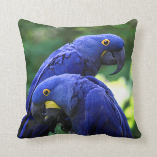Cojín Decorativo Macaws del jacinto
