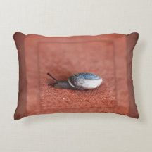 Macrofotografía del caracol en Terracota