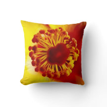 Madre de la fricción