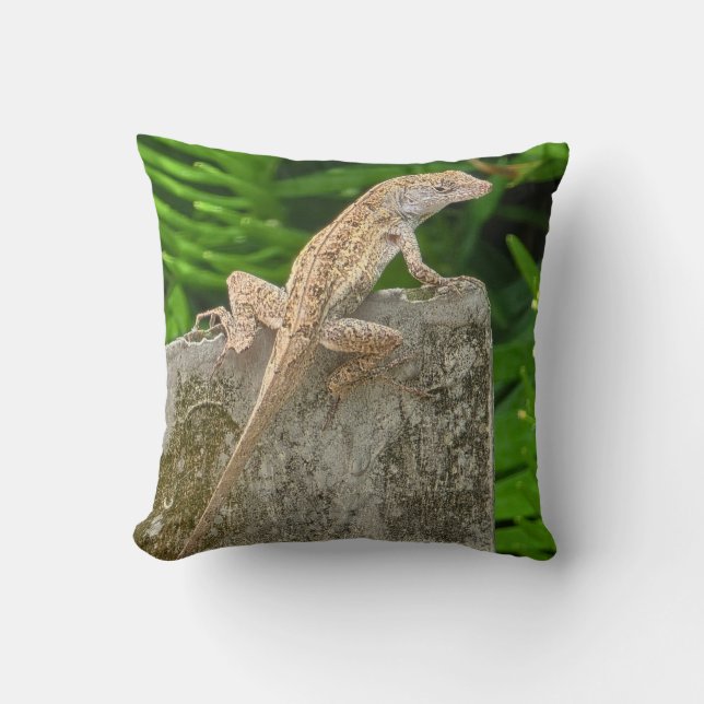Cojín Decorativo Maestro del Camuflaje (Anverso)