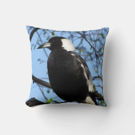 Cojín Decorativo Magpie australiano