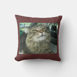 Cojín Decorativo Maine Coon kitty