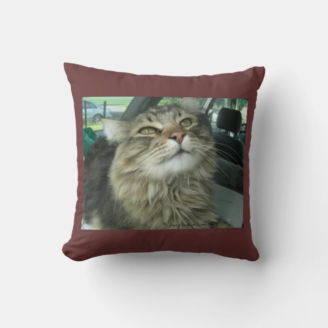 Cojín Decorativo Maine Coon kitty (Anverso)