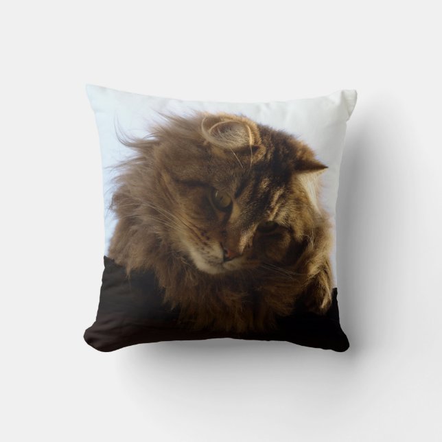 Cojín Decorativo Maine Coon Long-hair Tabby Cat (Anverso)