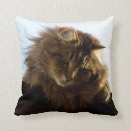 Cojín Decorativo Maine Coon Long-hair Tabby Cat