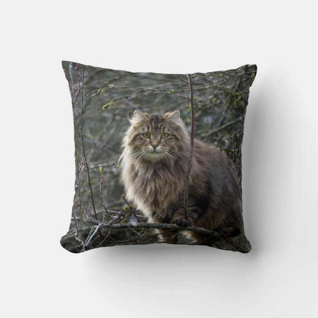 Cojín Decorativo Maine Coon Long hair Tabby Cat Animal Mascota (Anverso)