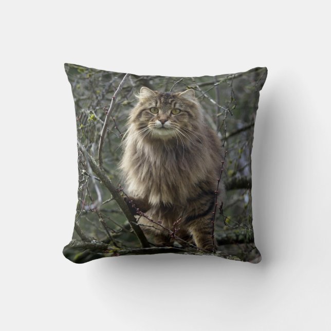 Cojín Decorativo Maine Coon Long hair Tabby Cat Animal Mascota (Anverso)