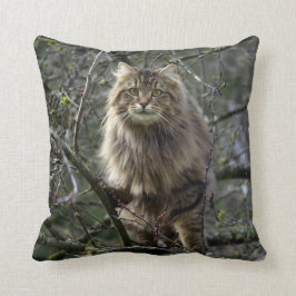 Cojín Decorativo Maine Coon Long hair Tabby Cat Animal Mascota