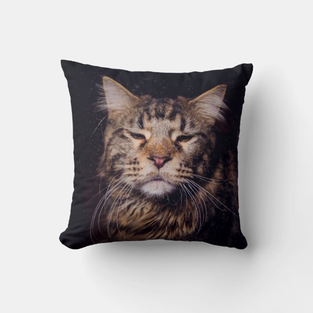 Cojín Decorativo maine coon sobre un fondo negro joven, gato, c (Anverso)