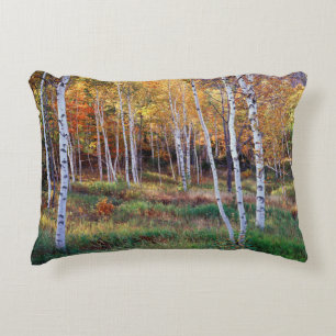 Cojín Decorativo Maine, Parque Nacional Acadia, Otoño
