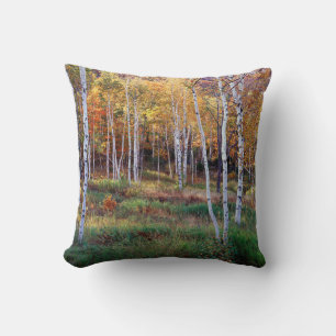 Cojín Decorativo Maine, Parque Nacional Acadia, Otoño