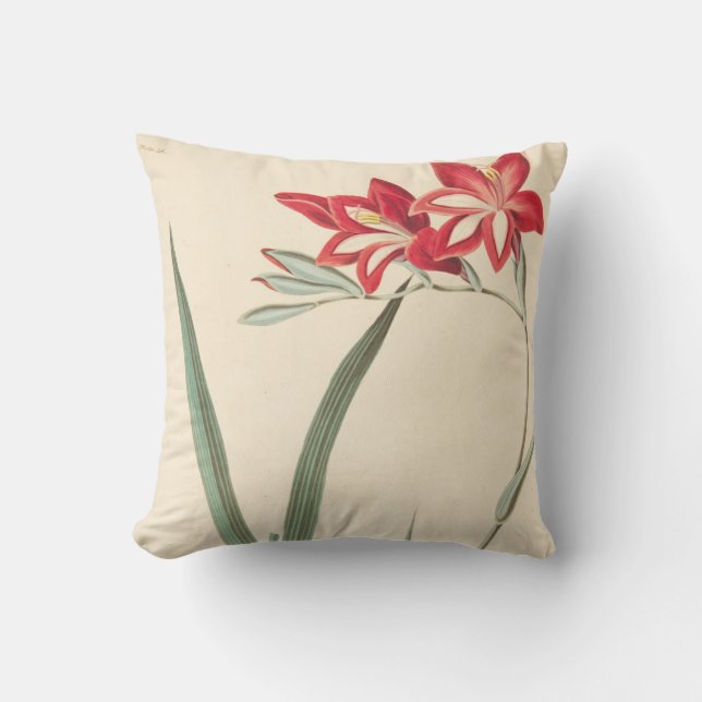 Cojín Decorativo Maíz-Bandera magnífica (Anverso)