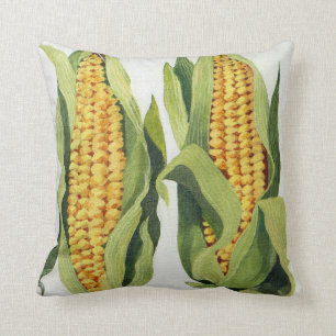 Cojín Decorativo Maíz dulce 2013