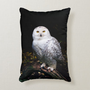 Cojín Decorativo Majestuoso búho de invierno