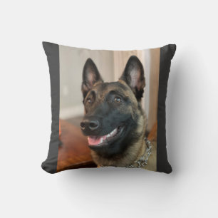 Cojín Decorativo Malinois belga