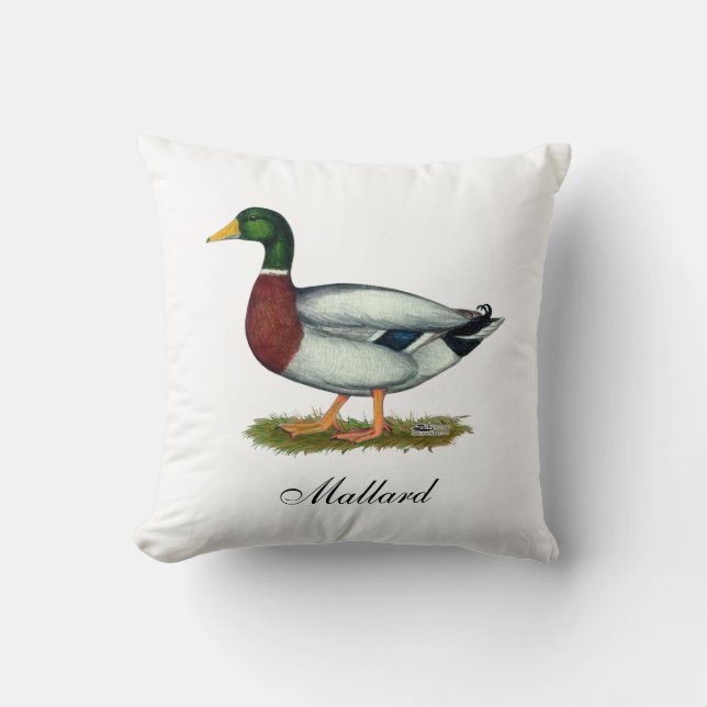 Cojín Decorativo Mallard Duck Drake (Anverso)