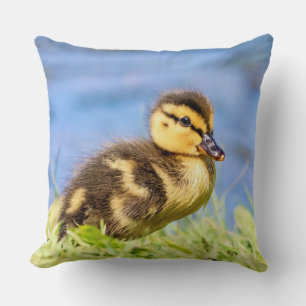 Cojín Decorativo Mallard Duckling