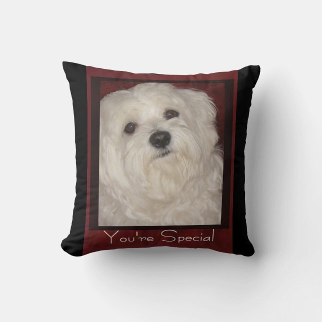 Cojín Decorativo Maltés "usted es" Almohada-Blanco (Anverso)