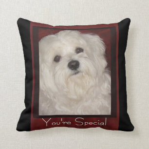 Cojín Decorativo Maltés "usted es" Almohada-Blanco