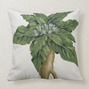 Cojín Decorativo Mandragora Officinarum de 'Phytographie Medicale