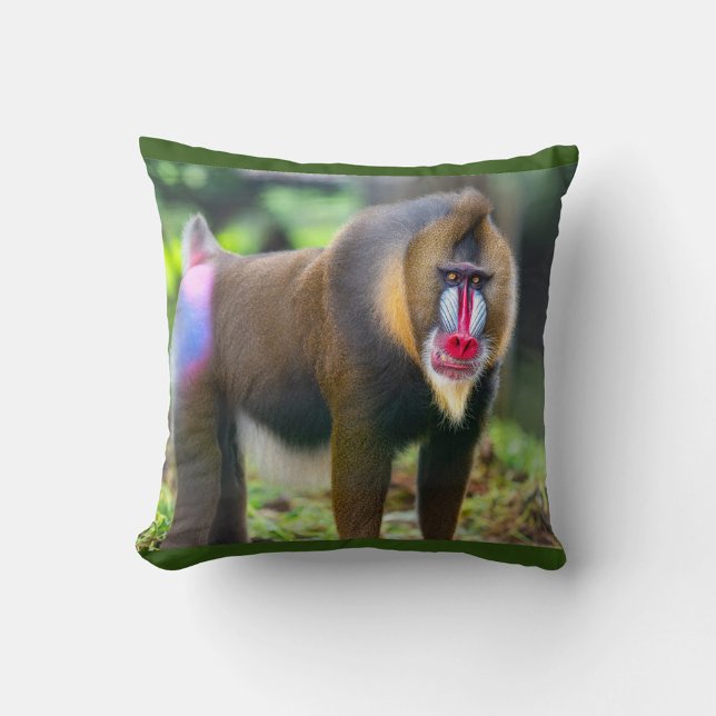 Cojín Decorativo Mandrill Baboon (Mandrill known for their striking red, blue and purple facial markings.)