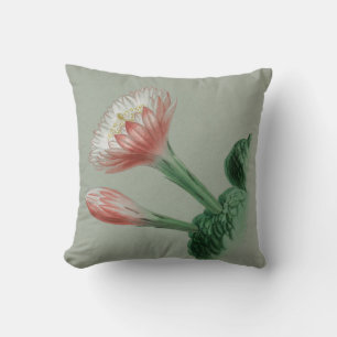 Cojín Decorativo Manzana peruana