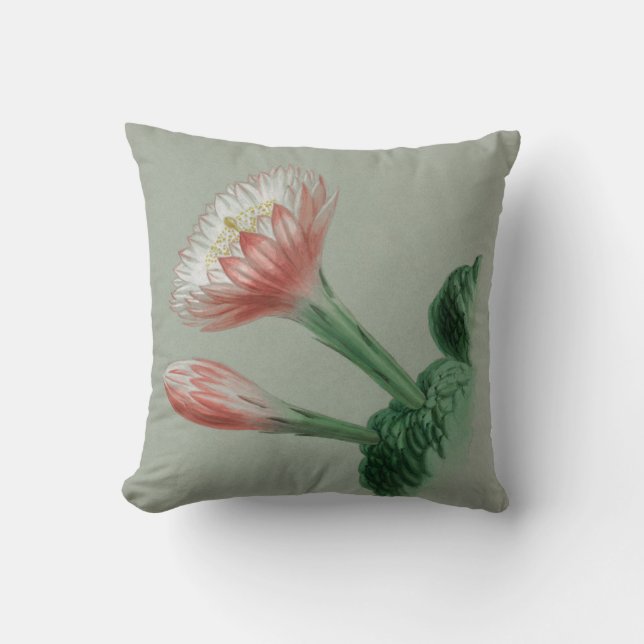 Cojín Decorativo Manzana peruana (Anverso)