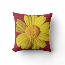 Manzanilla amarilla soleada