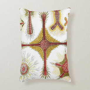 Cojín Decorativo Manzanilla silvestre de Ernst Haeckel, naturaleza 