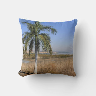 Cojín Decorativo Mar de Galilea en Israel Pillow