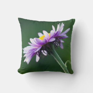 Cojín Decorativo Margarita Alpina