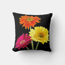 Cojín Decorativo Margarita del Gerbera