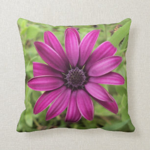 Cojín Decorativo Margarita púrpura