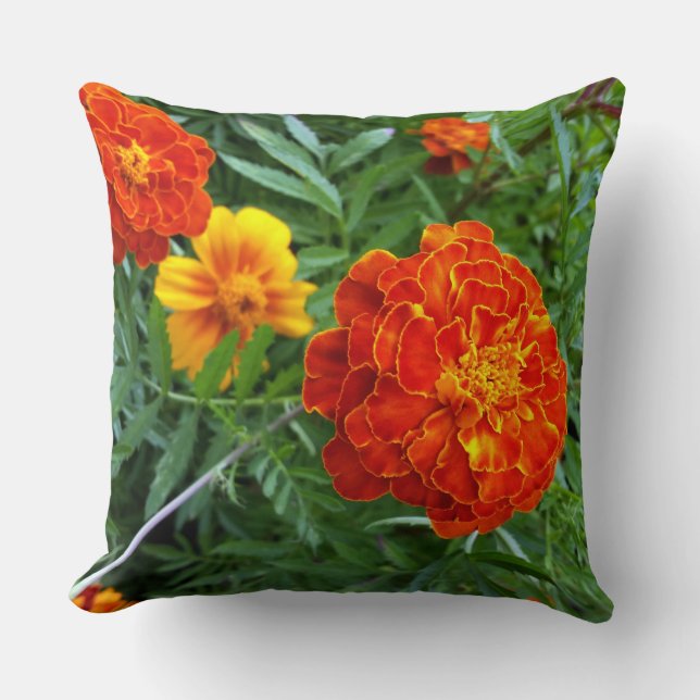 Cojín Decorativo marigold al sol (Anverso)